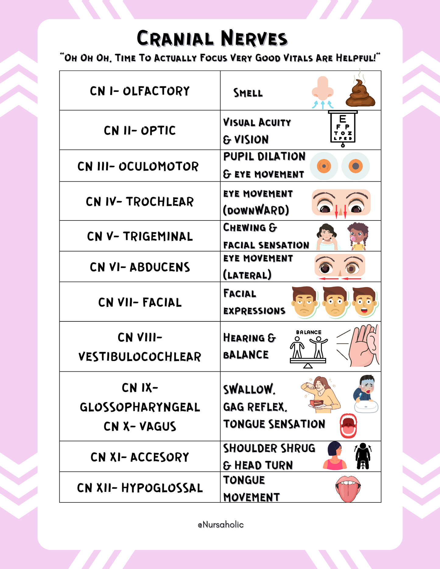 Cranial Nerves Assessment Cheat Sheet for Nursing Students | Quick & Easy Memory Guide