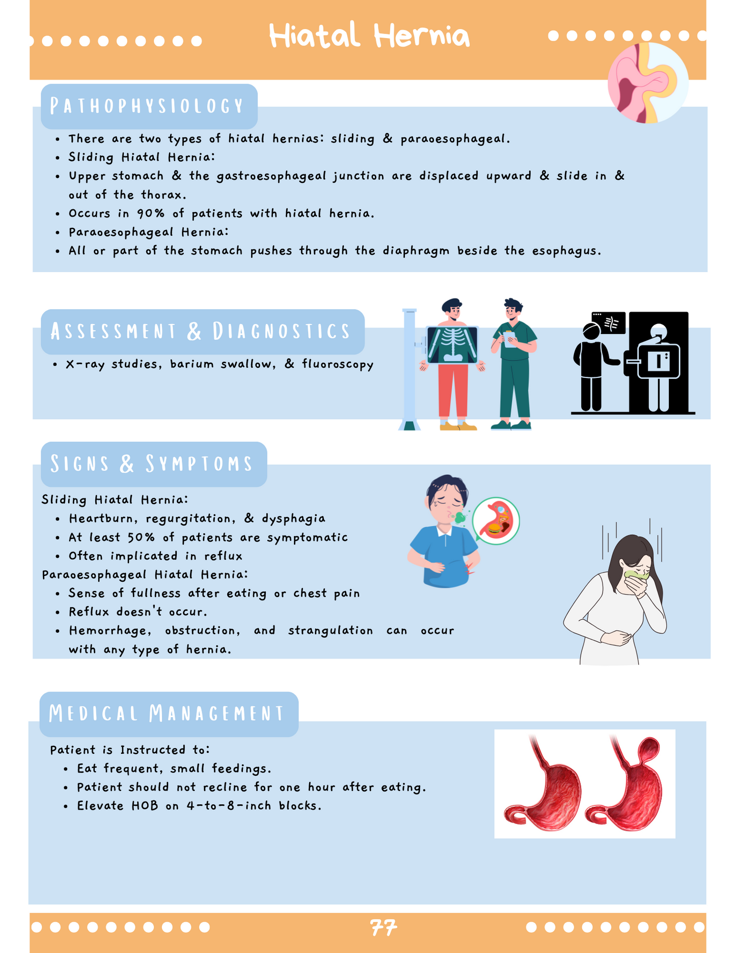 Gastroenterology System: Med-Surg Study Blueprint Digital Download