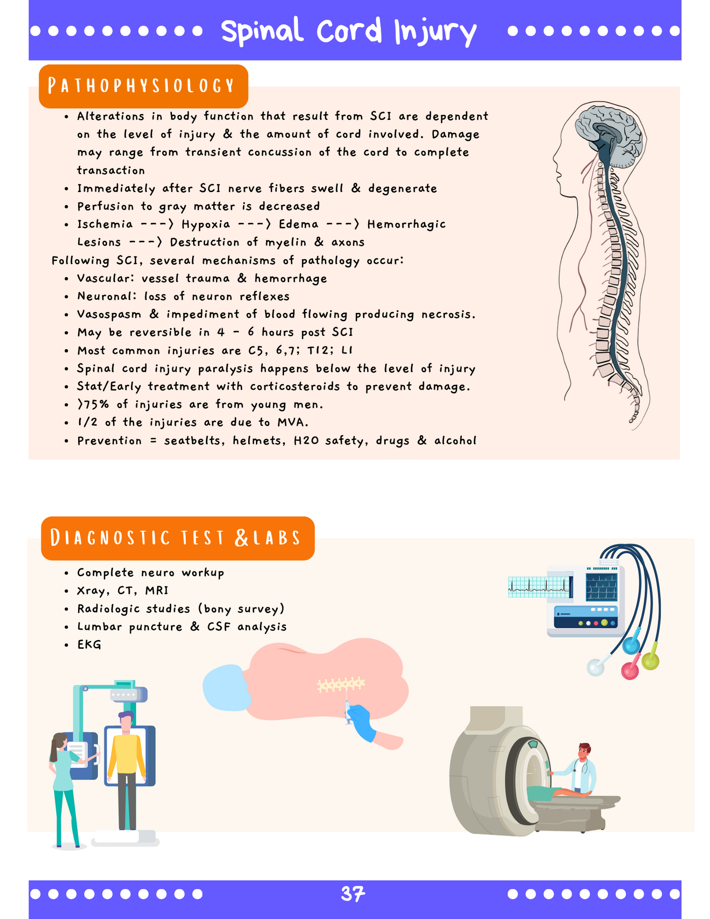 Complete Med-Surg Study Blueprint Digital Download