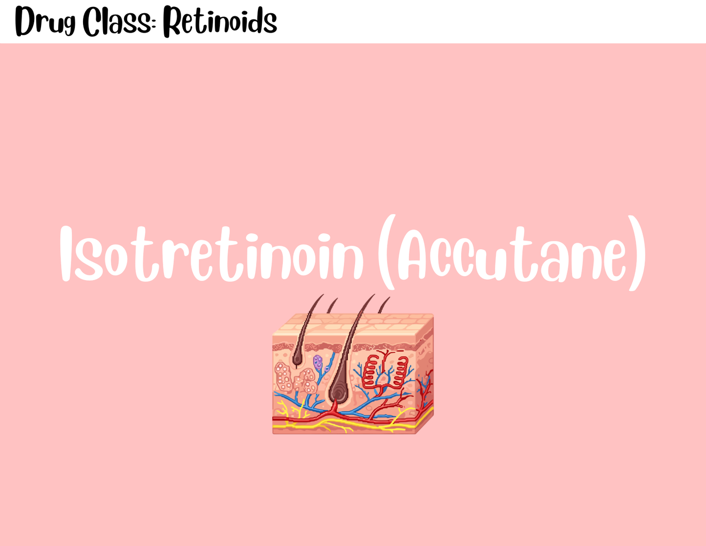 Pharmacology Study Flashcards (Digital)