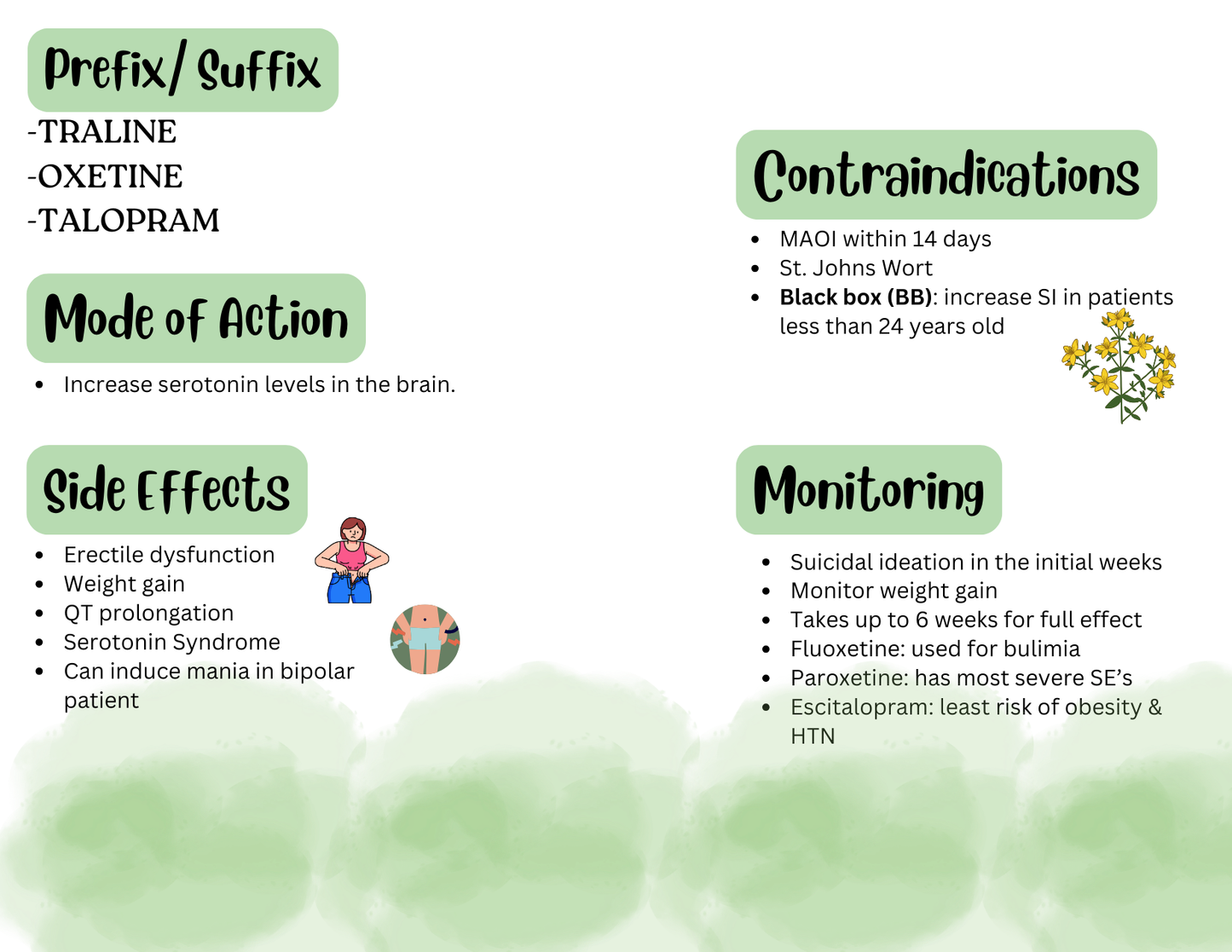 Pharmacology Study Flashcards (Digital)