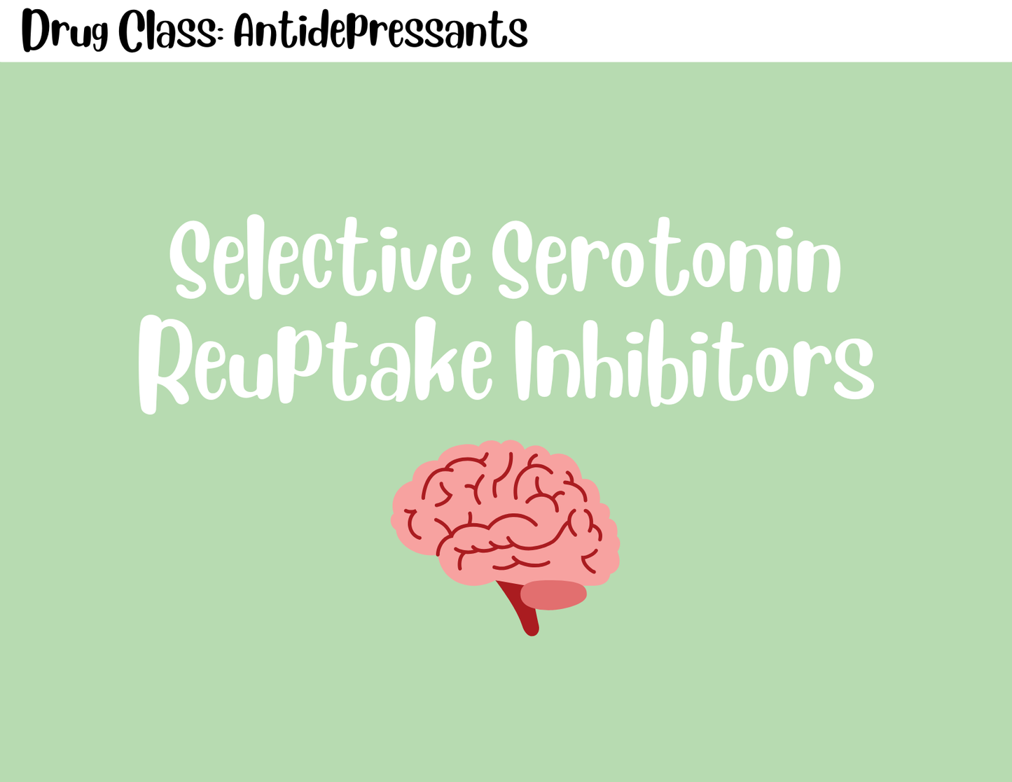 Pharmacology Study Flashcards (Digital)