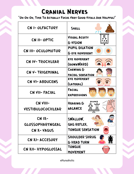 Cranial Nerves Assessment Cheat Sheet for Nursing Students | Quick & Easy Memory Guide
