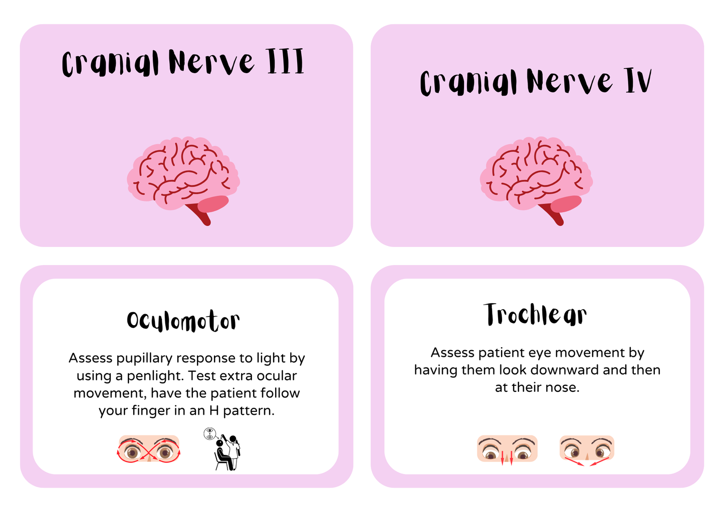 Cranial Nerves Cheat Sheet for Nursing Students | Quick & Easy Memory Guide