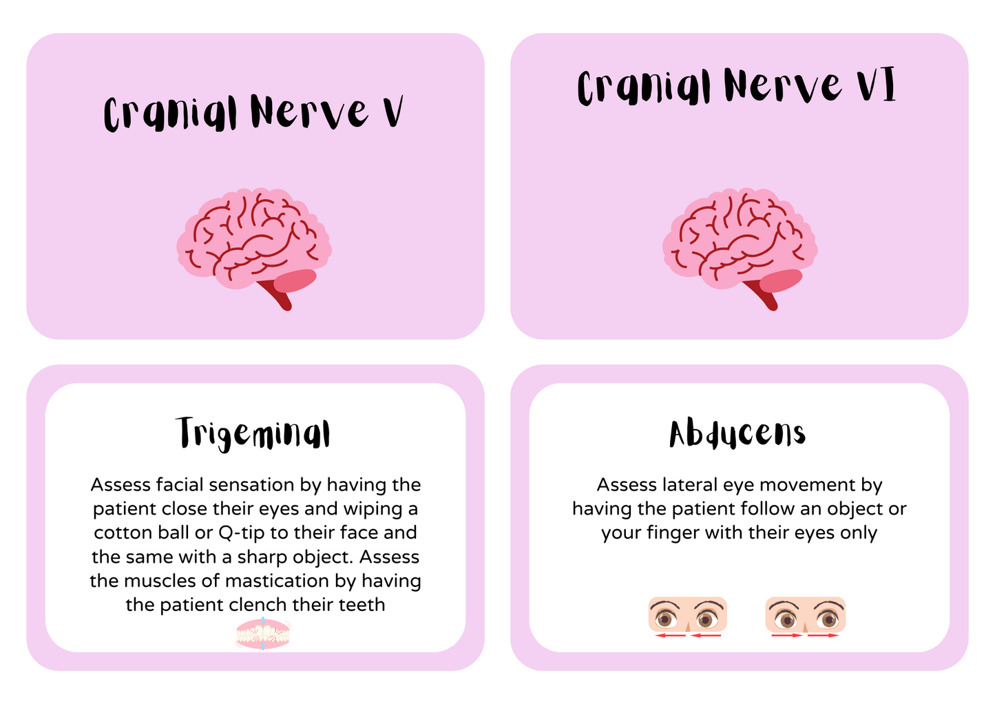 Cranial Nerves Cheat Sheet for Nursing Students | Quick & Easy Memory Guide