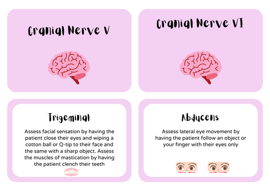 Cranial Nerves Cheat Sheet for Nursing Students | Quick & Easy Memory Guide