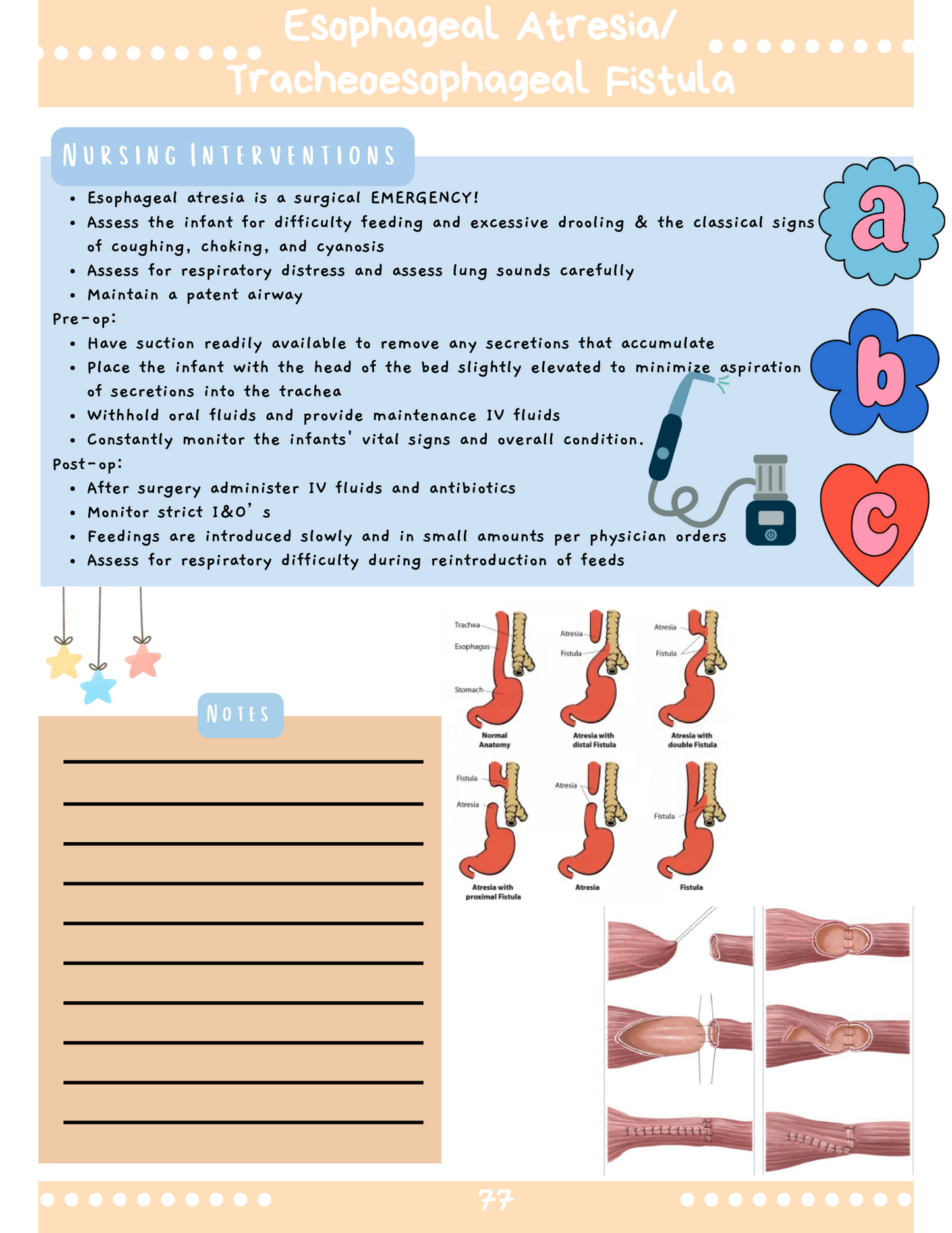 Complete Pediatric Study Guide Blue Print