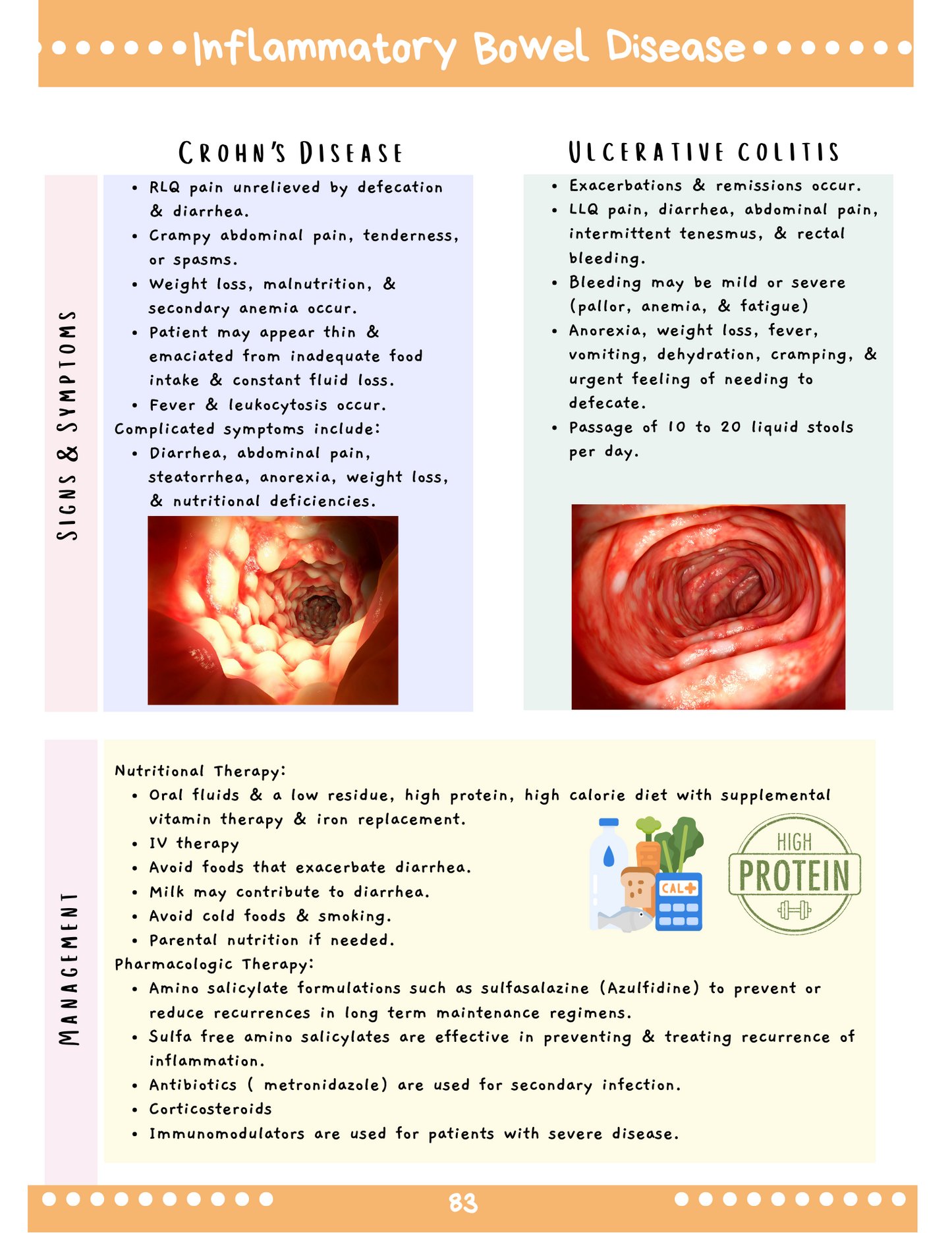 Gastroenterology System: Med-Surg Study Blueprint Digital Download