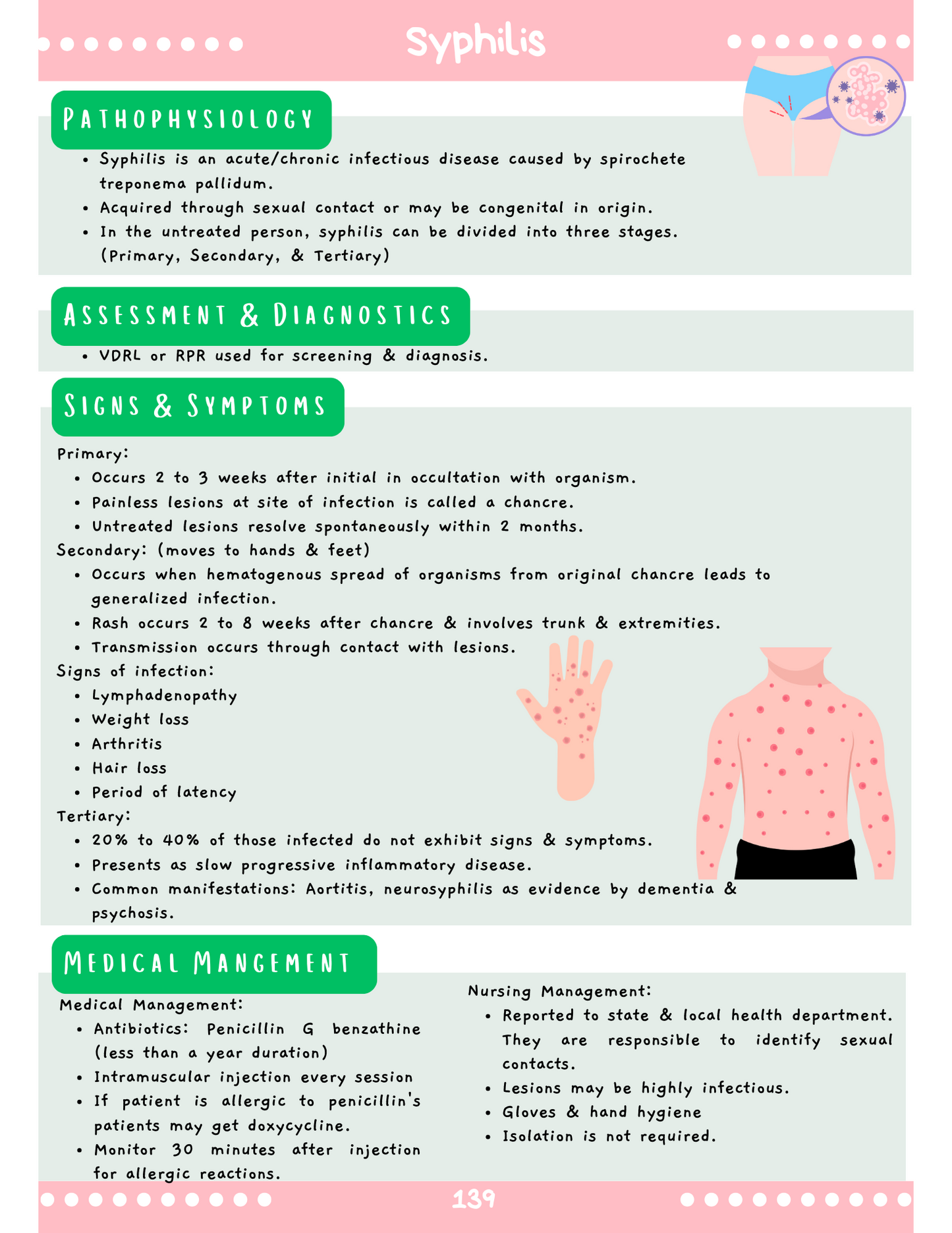 Women's Health: Med-Surg Study Blueprint Digital Download