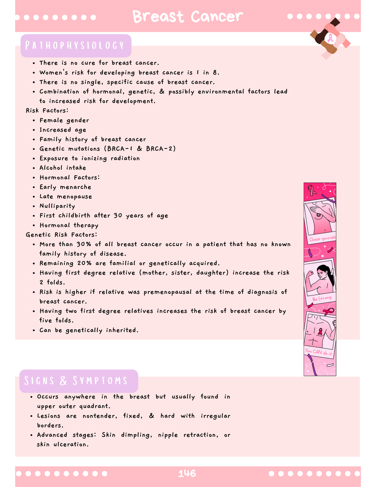 Women's Health: Med-Surg Study Blueprint Digital Download