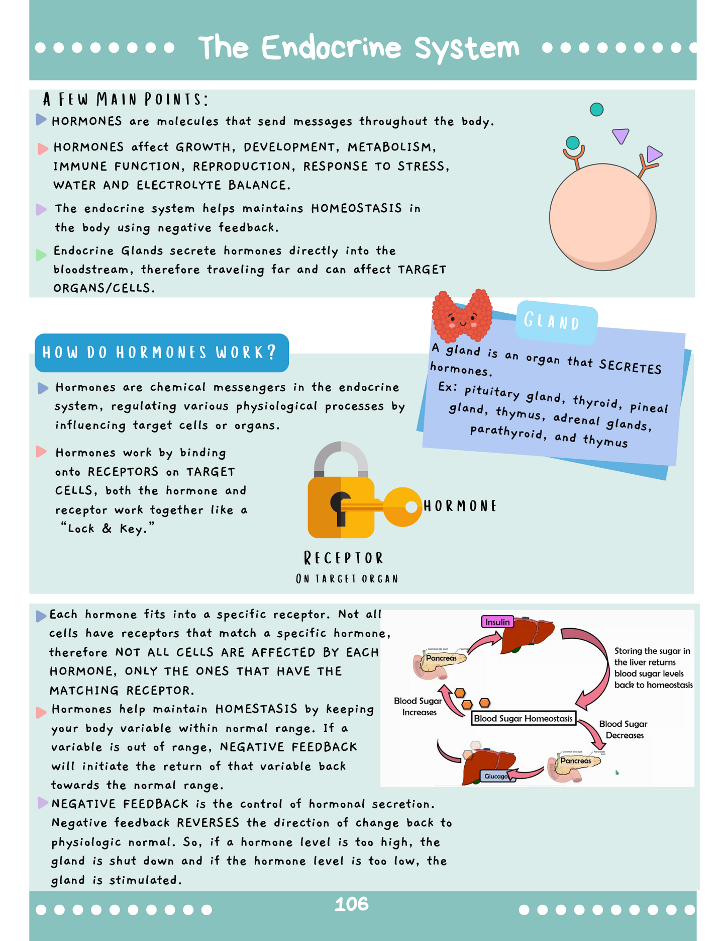 Complete Med-Surg Study Blueprint Digital Download