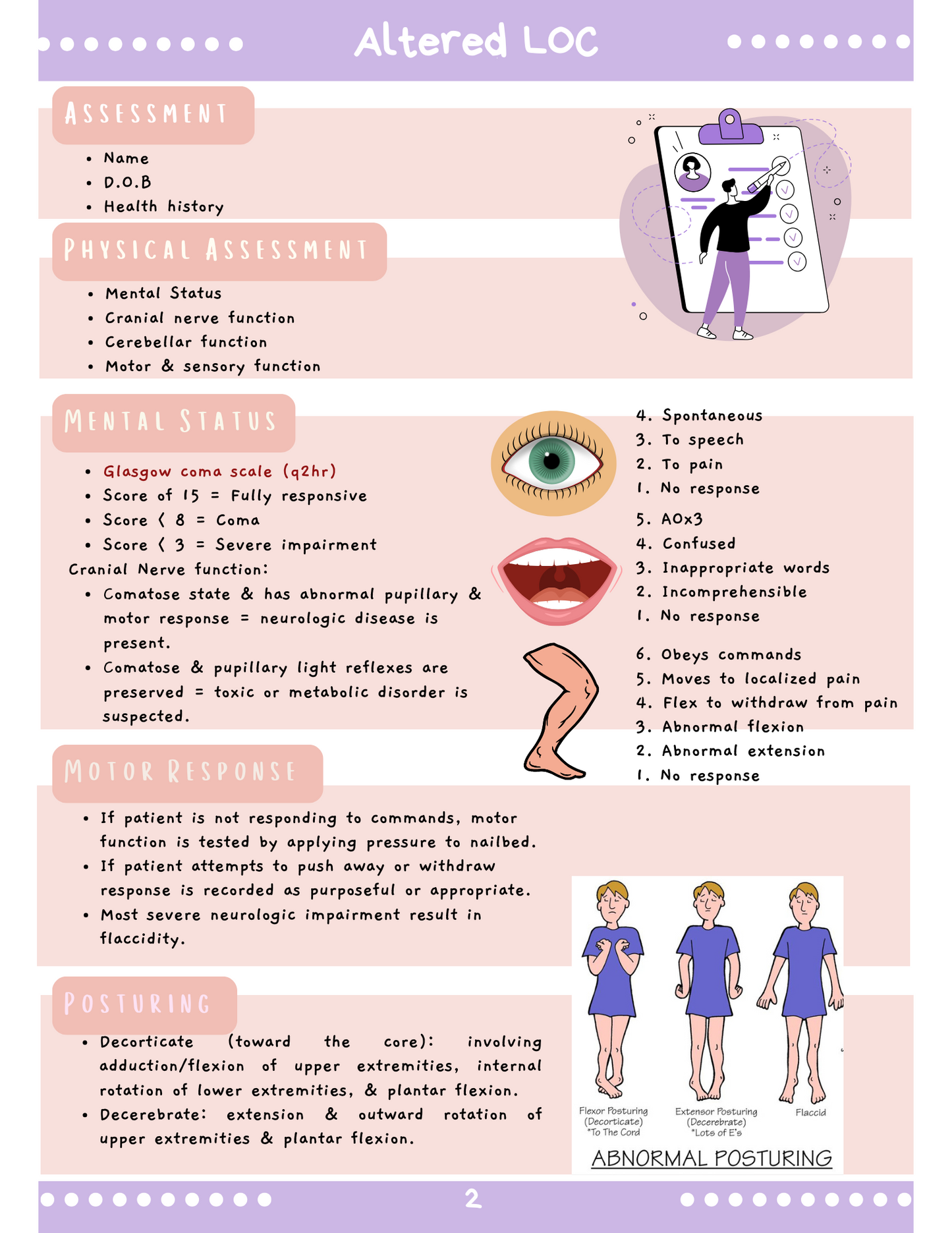 Endocrine System: Med-Surg Study Blueprint Digital Download