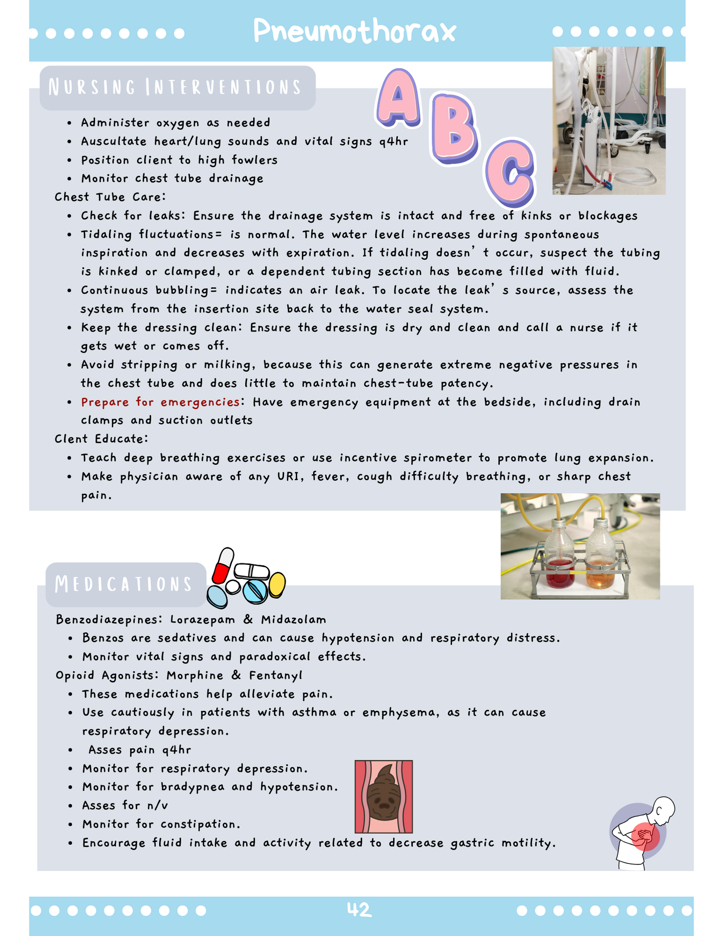 Respiratory System: Med-Surg Study Blueprint Digital Download