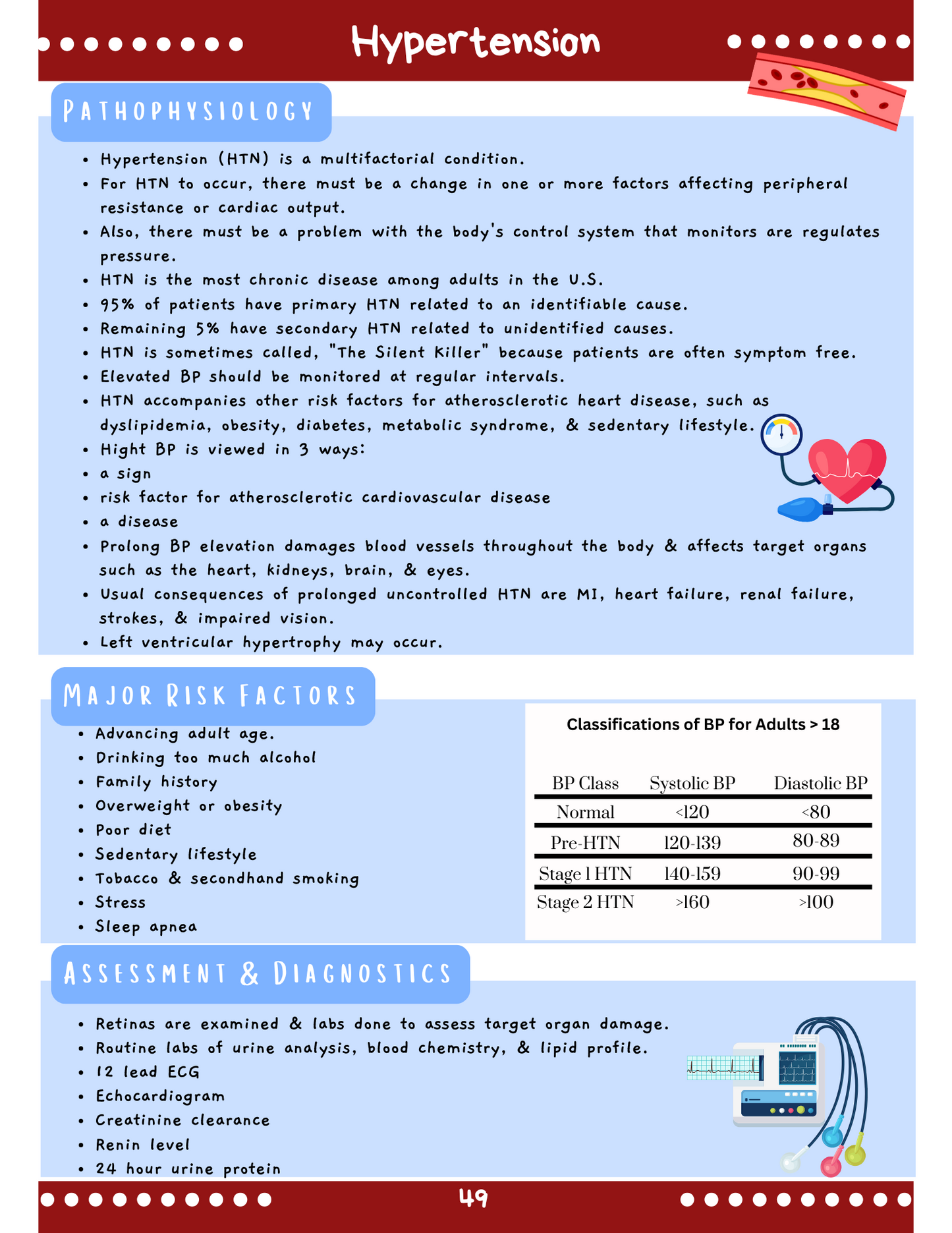 Cardiac System: Med-Surg Study Blueprint Digital Download