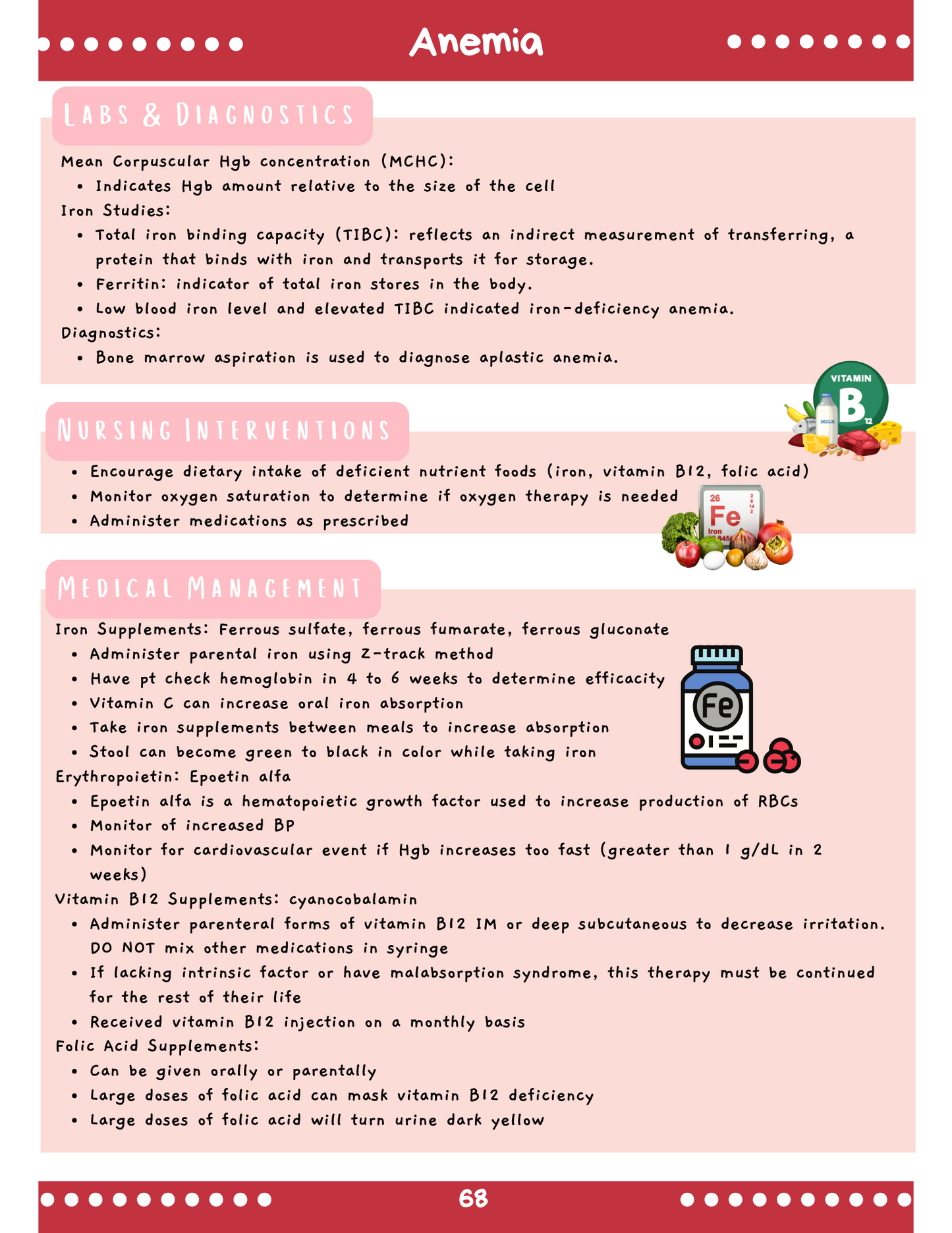 Hematology: Med-Surg Study Blueprint Digital Download