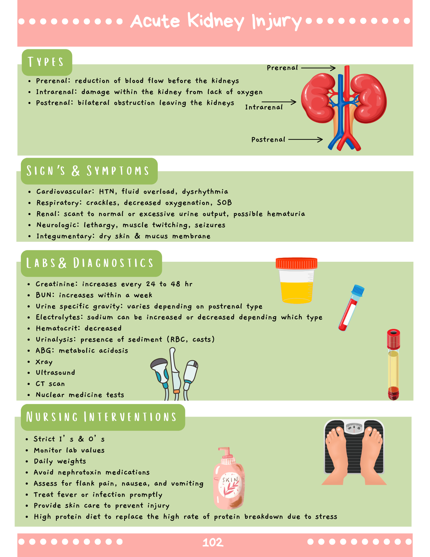Renal System: Med-Surg Study Blueprint Digital Download