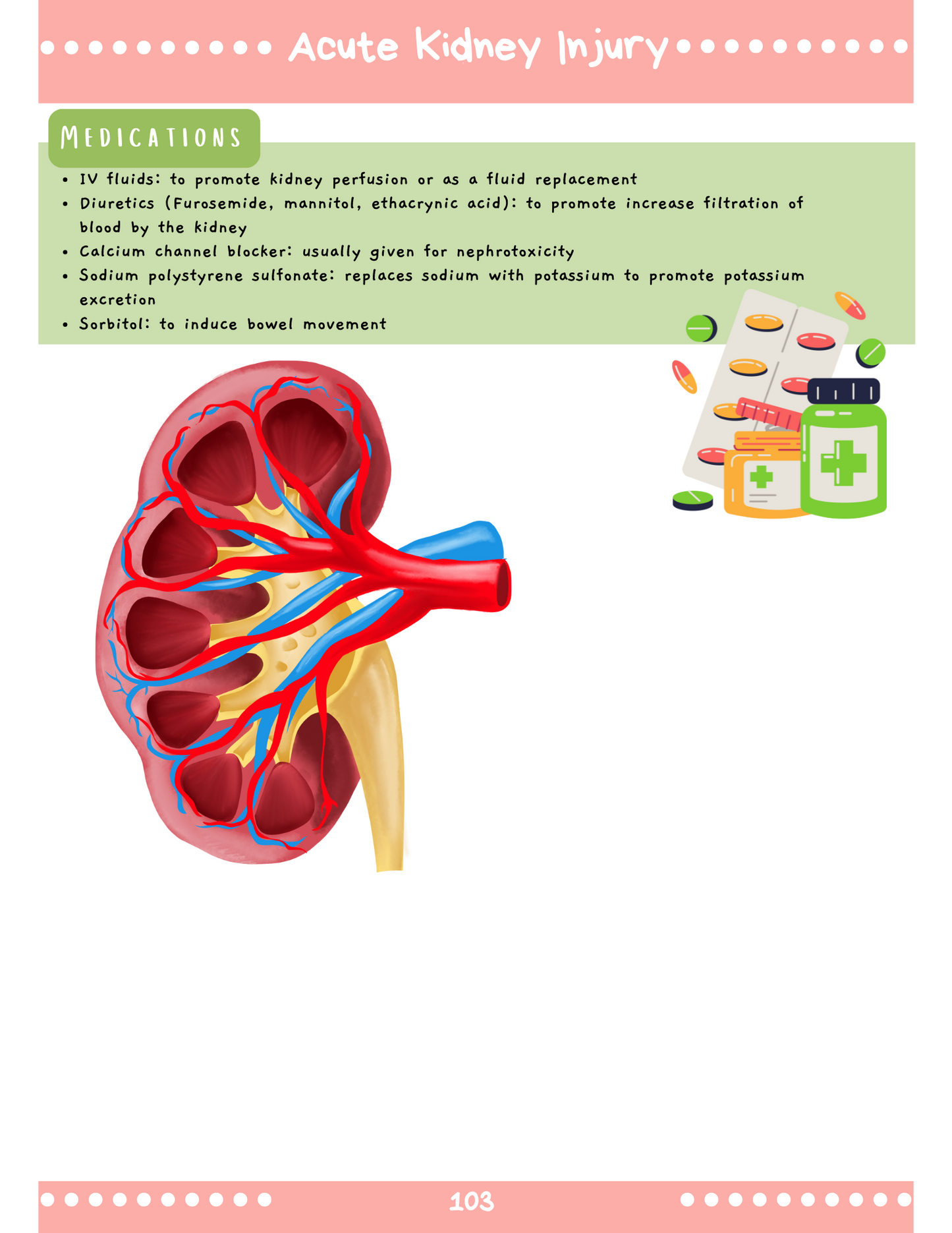 Renal System: Med-Surg Study Blueprint Digital Download