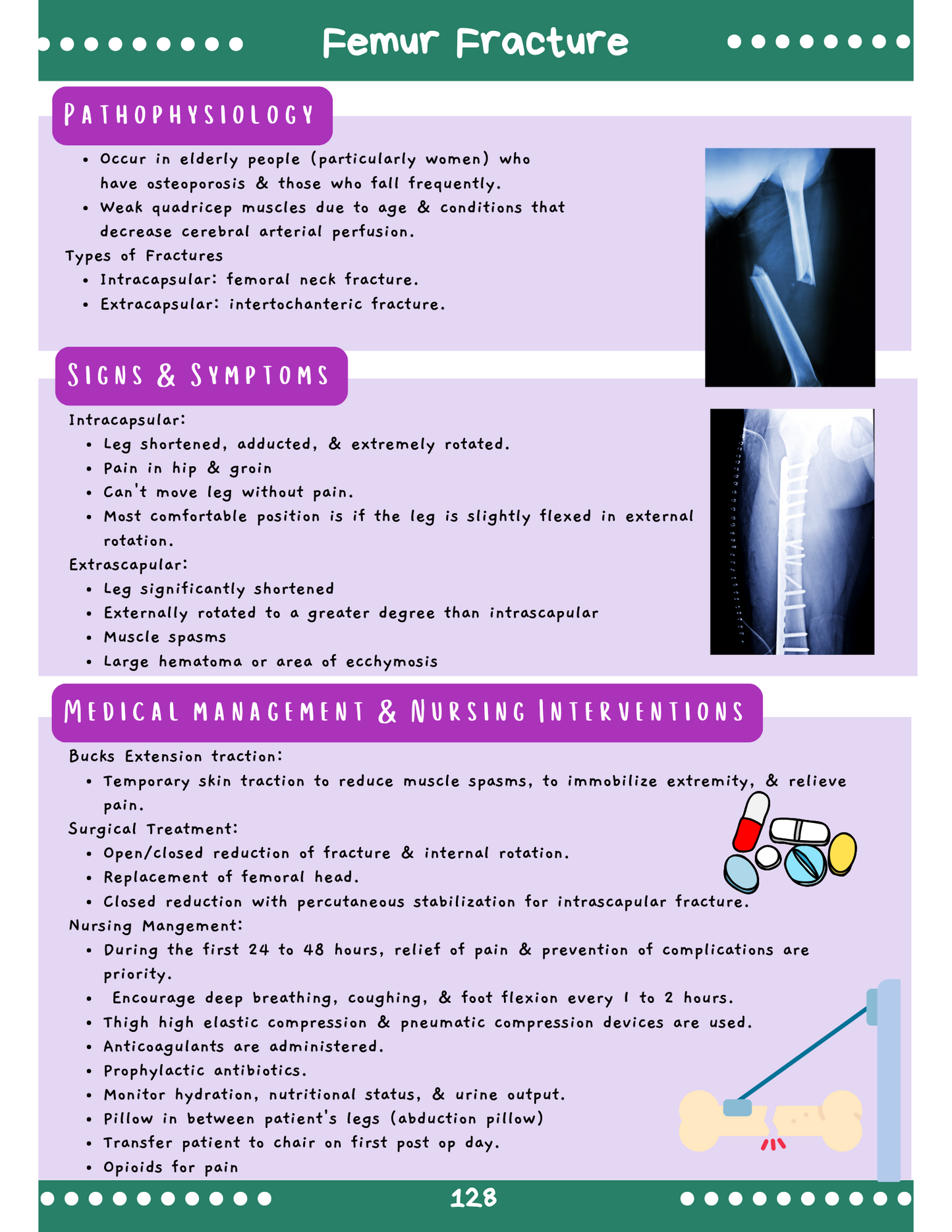 Musculoskeletal System: Med-Surg Study Blueprint Digital Download