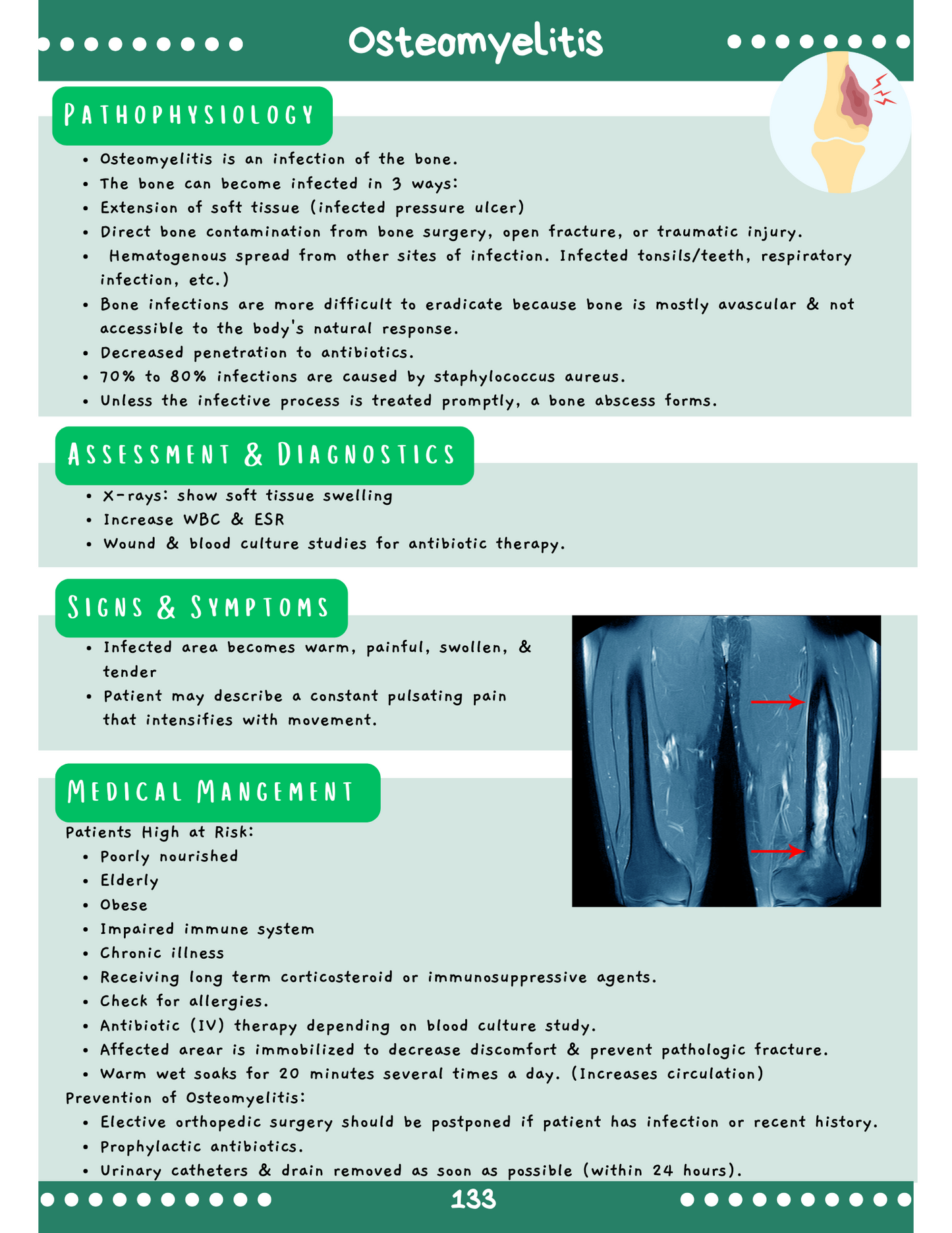 Musculoskeletal System: Med-Surg Study Blueprint Digital Download