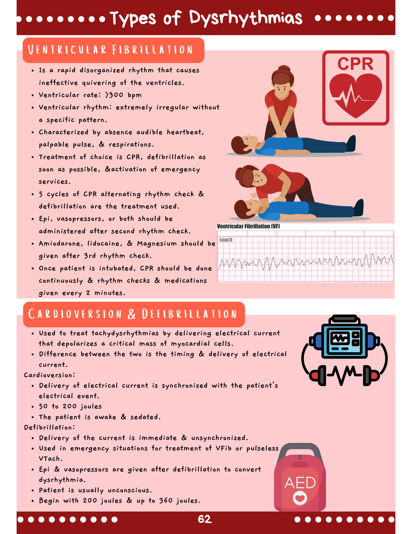 Complete Med-Surg Study Blueprint Digital Download